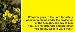 Psalm 91