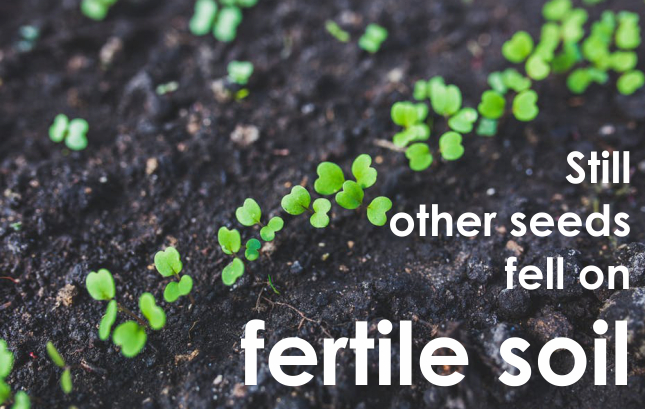 Fertile Soil