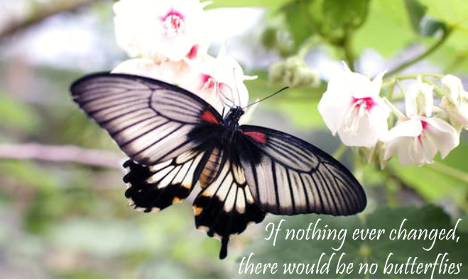 A Time for Everything