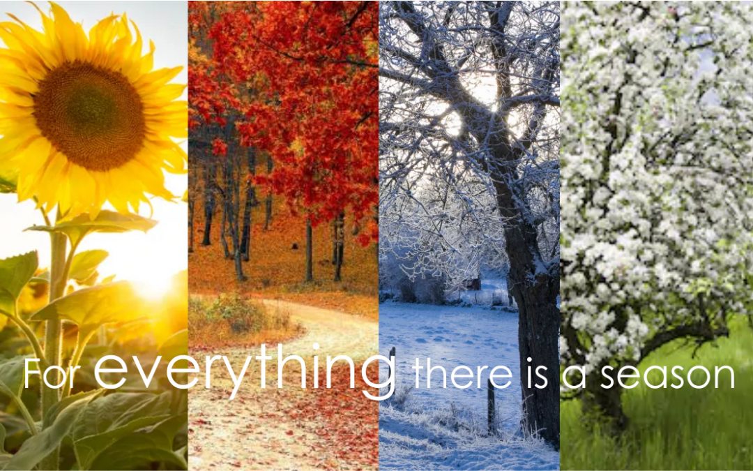 BEAUTY IN EACH SEASON